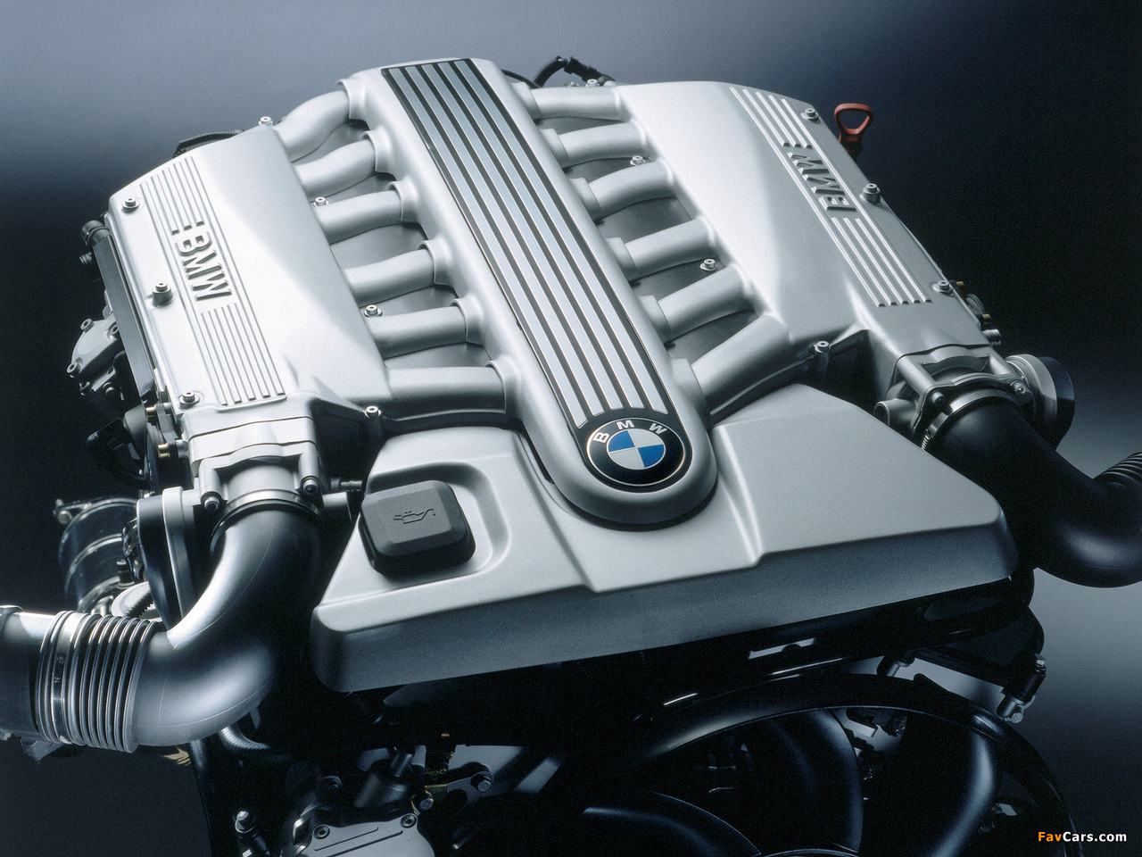 Images of Engines BMW N73 B60 (1280 x 960)