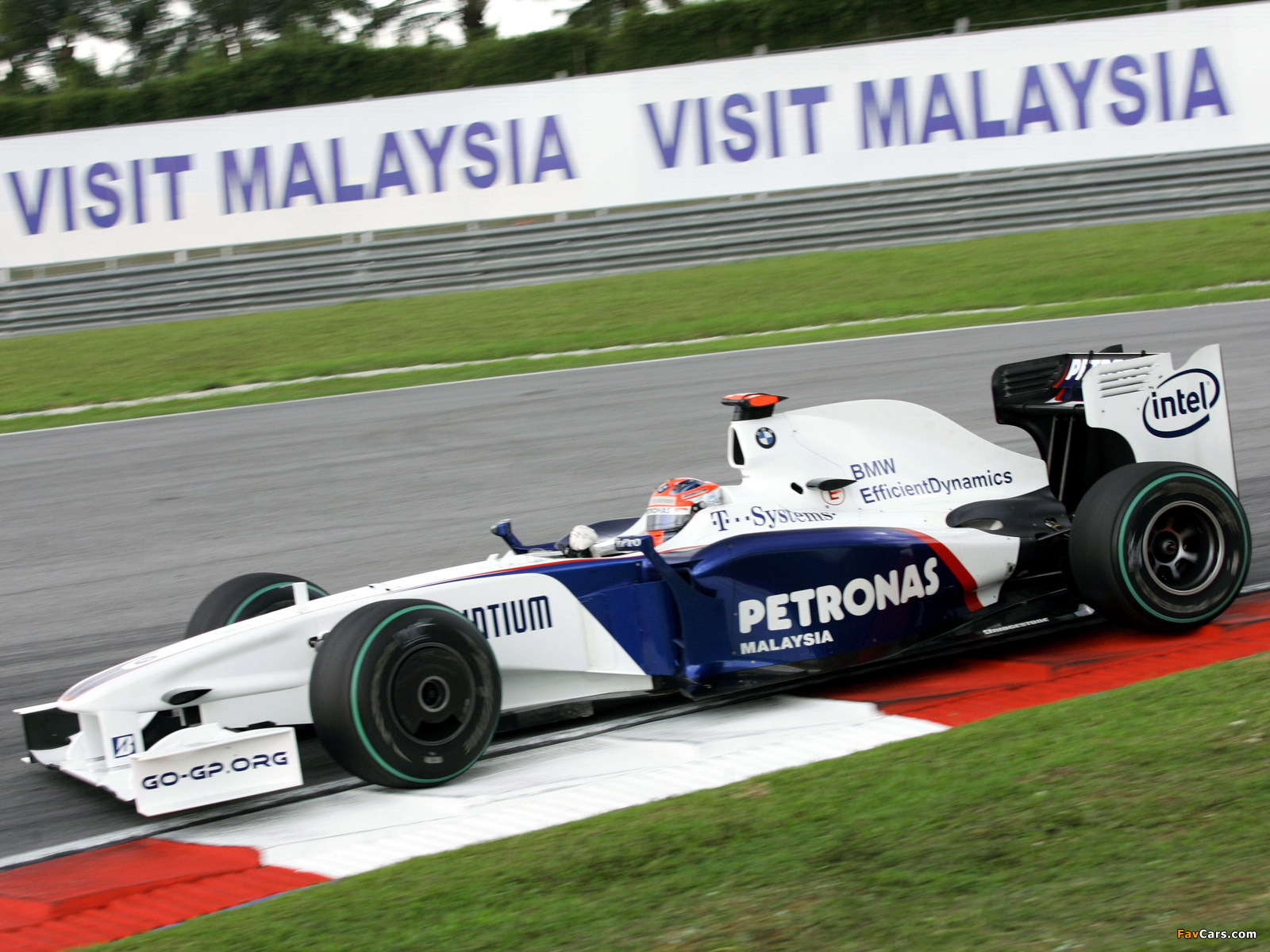 Pictures of BMW Sauber F1-09 2009 (1600 x 1200)