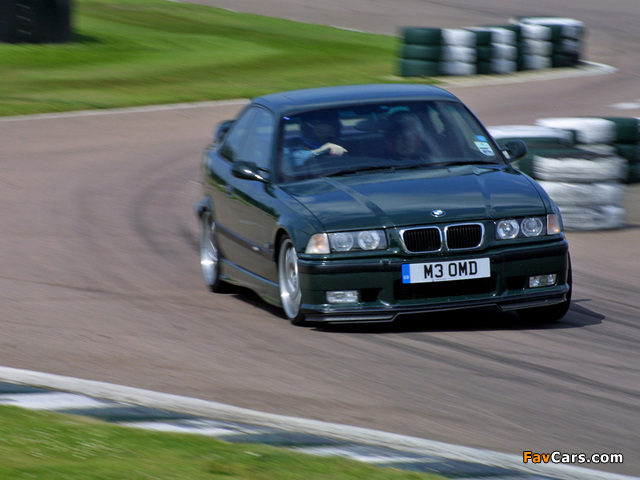 BMW M3 GT Coupe (E36) 1995 photos (640 x 480)