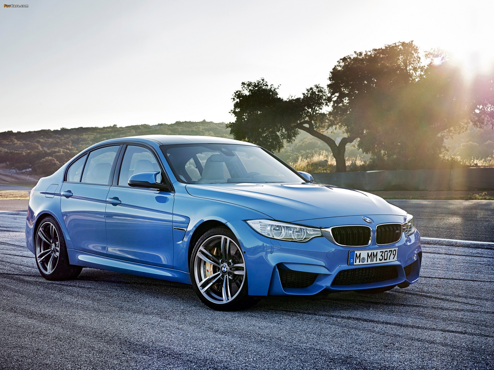 Images of BMW M3 (F80) 2014 (2048 x 1536)