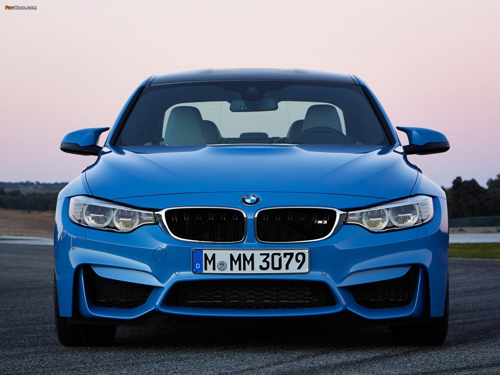 BMW M3 (F80) 2014 wallpapers (1600 x 1200)