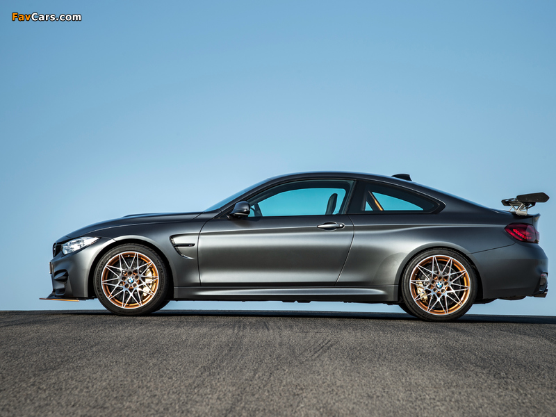 Images of BMW M4 GTS (F82) 2015 (800 x 600)