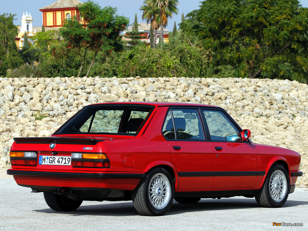BMW M5 (E28) 1985–87 photos (1024 x 768)