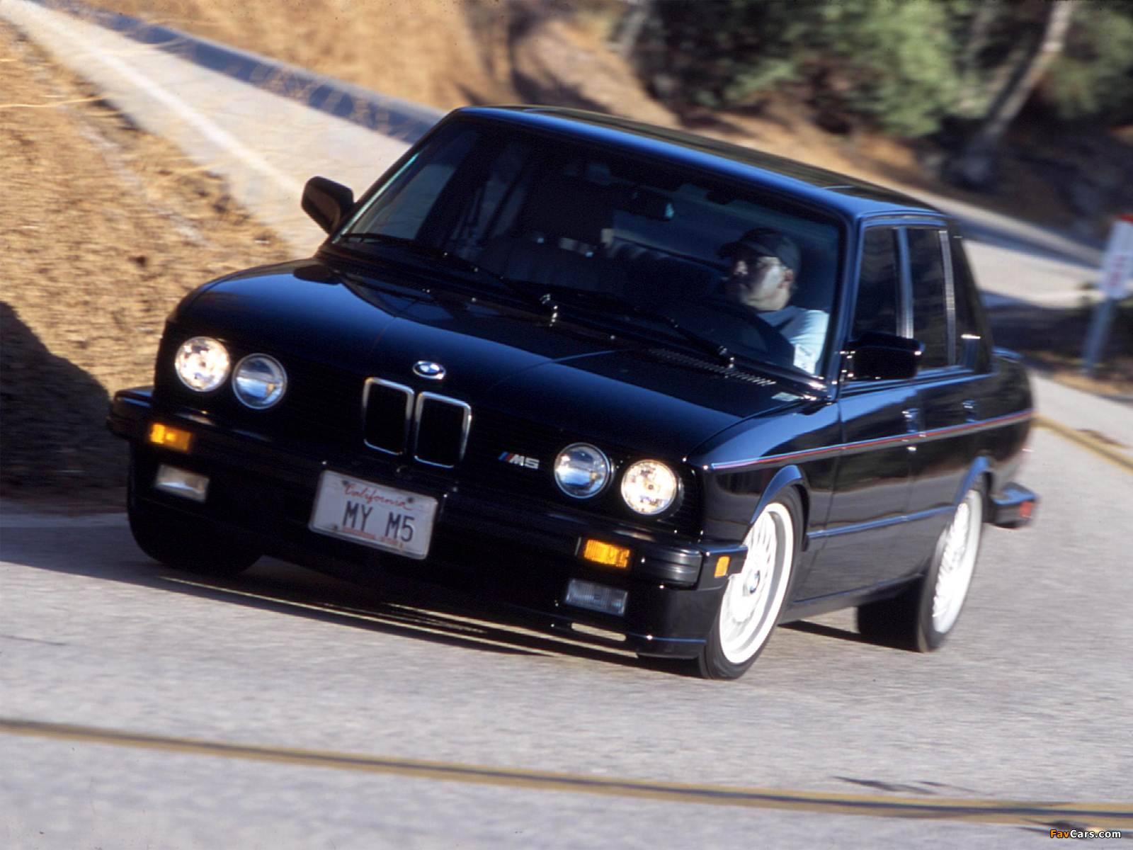 BMW M5 US-spec (E28) 1986–87 photos (1600 x 1200)
