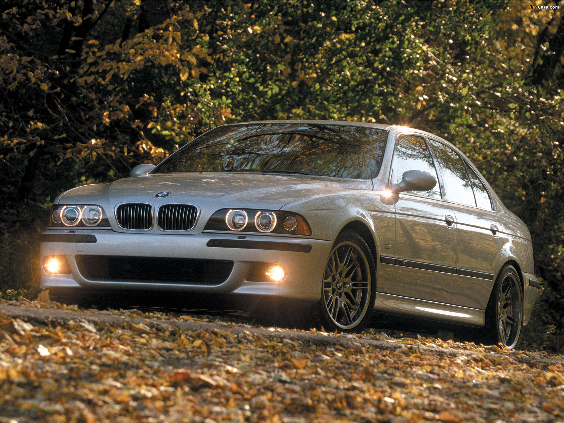BMW M5 US-spec (E39) 1999–2004 pictures (1920 x 1440)