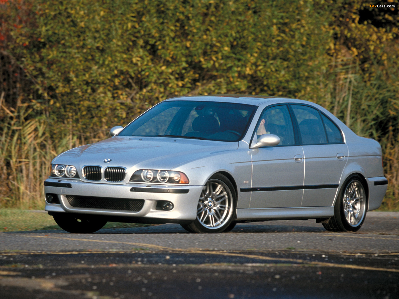 BMW M5 US-spec (E39) 1999–2004 pictures (1600 x 1200)