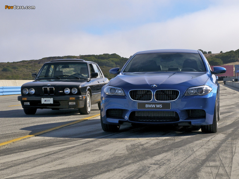 BMW M5 pictures (800 x 600)