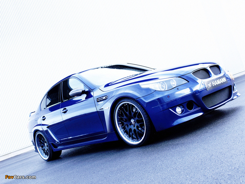 Hamann BMW M5 Widebody Edition Race (E60) pictures (800 x 600)
