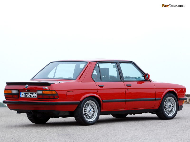 Images of BMW M5 (E28) 1985–87 (800 x 600)