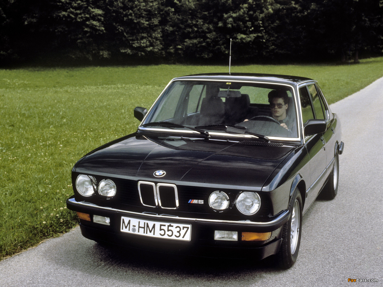 Images of BMW M5 (E28) 1985–87 (1280 x 960)