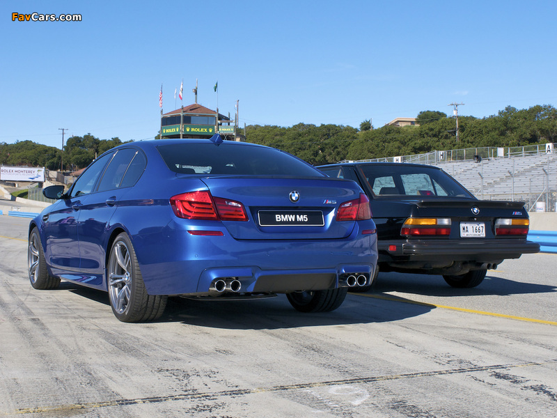 Images of BMW M5 (800 x 600)