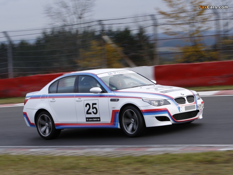 Images of BMW M5 CSL 25th Anniversary Edition (E60) 2009 (800 x 600)