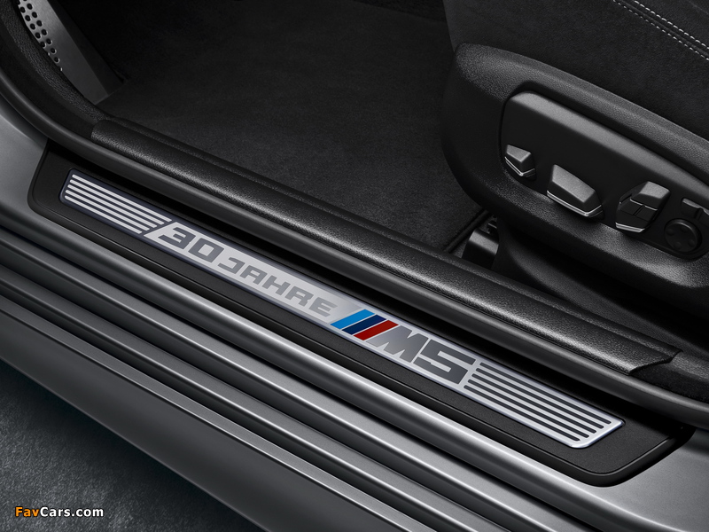 Images of BMW M5 30 Jahre (F10) 2014 (800 x 600)