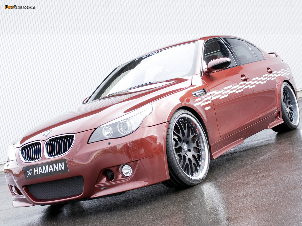 Images of Hamann BMW M5 (E60) (1024 x 768)