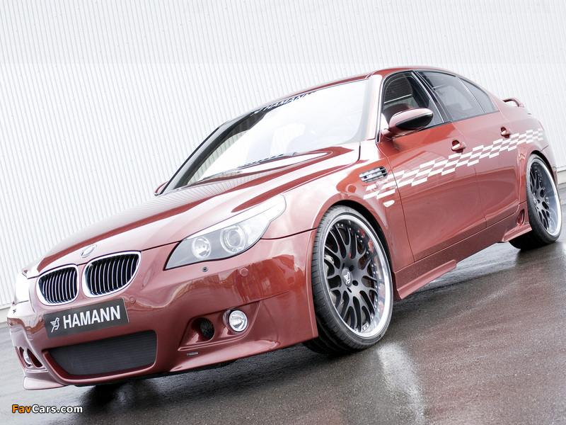 Images of Hamann BMW M5 (E60) (800 x 600)