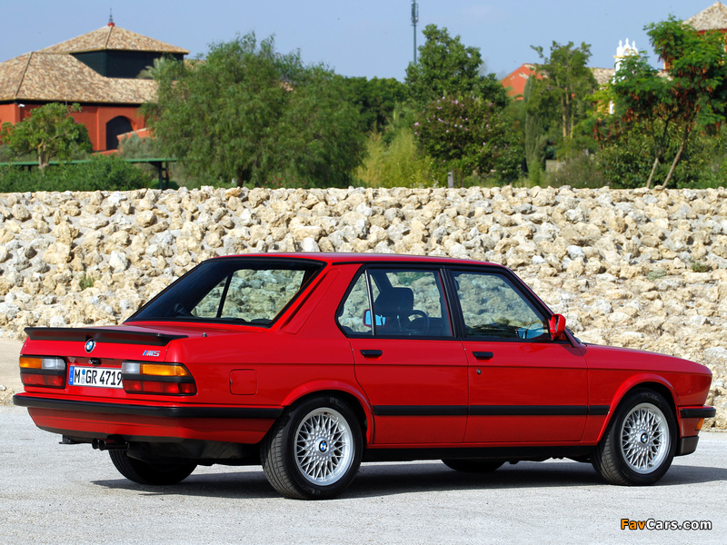 Photos of BMW M5 (E28) 1985–87 (800 x 600)