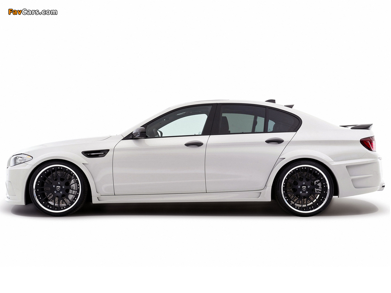 Photos of Hamann BMW M5 (F10) 2012 (800 x 600)