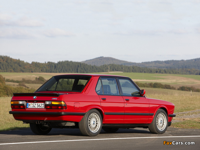 Pictures of BMW M5 (E28) 1985–87 (640 x 480)