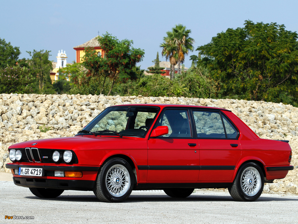 Pictures of BMW M5 (E28) 1985–87 (1024 x 768)