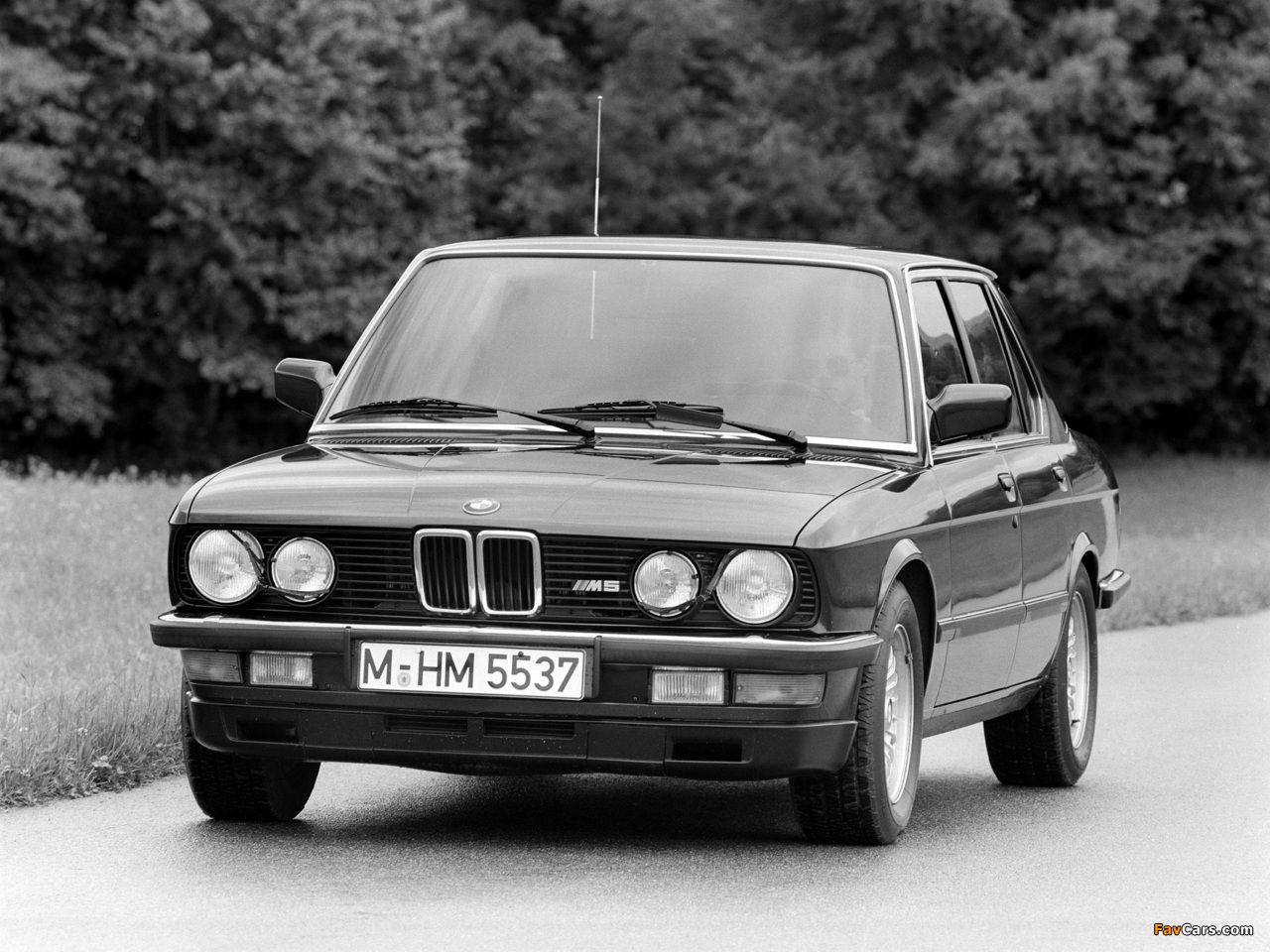 Pictures of BMW M5 (E28) 1985–87 (1280 x 960)