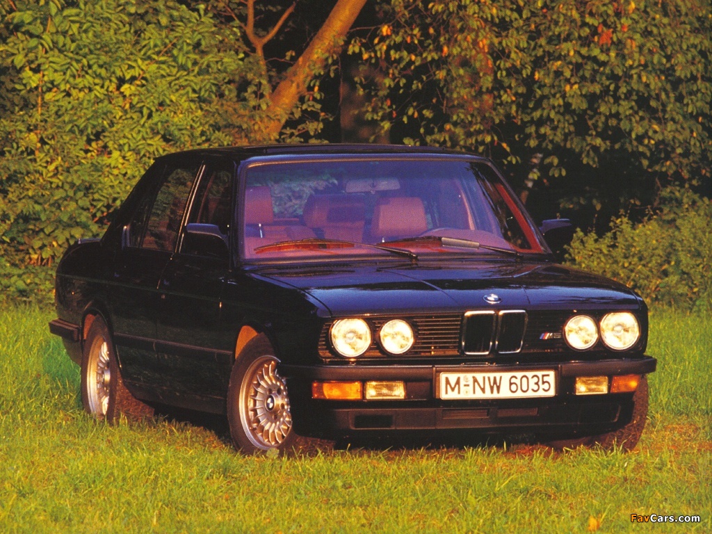 Pictures of BMW M5 (E28) 1985–87 (1024 x 768)