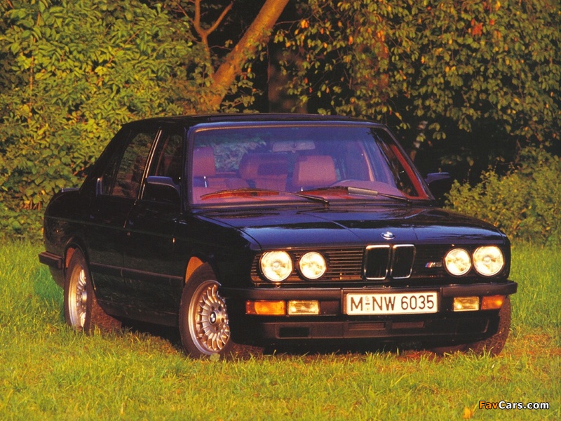 Pictures of BMW M5 (E28) 1985–87 (800 x 600)