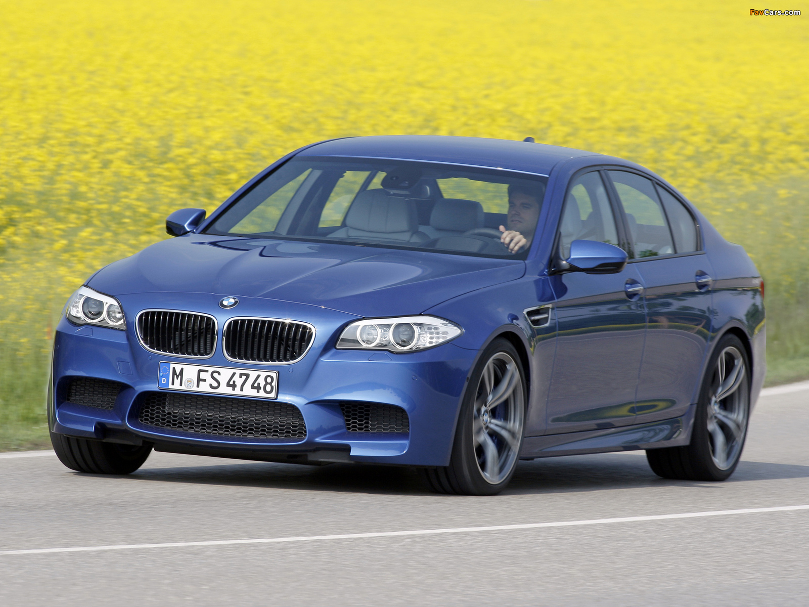 Pictures of BMW M5 (F10) 2011 (1600 x 1200)