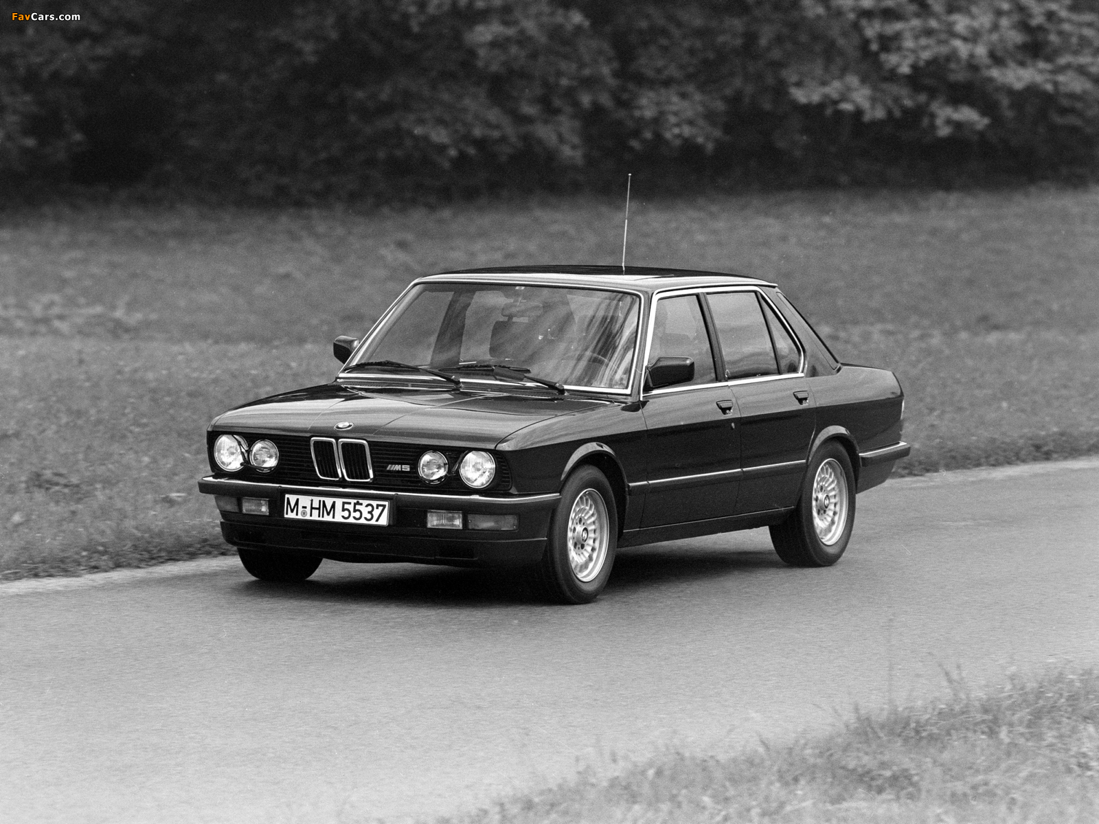 BMW M5 (E28) 1985–87 wallpapers (1600 x 1200)