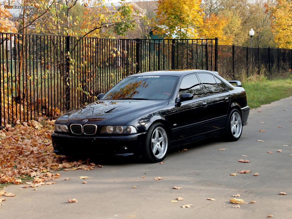 Hamann BMW M5 (E39) wallpapers (1024 x 768)