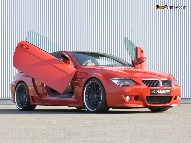 Hamann BMW M6 Widebody Edition Race (E63) pictures (640 x 480)