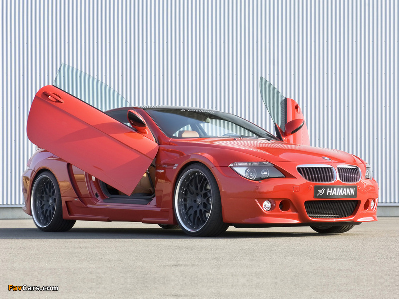 Hamann BMW M6 Widebody Edition Race (E63) pictures (800 x 600)