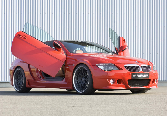 Hamann BMW M6 Widebody Edition Race (E63) pictures