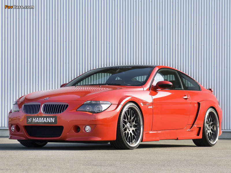 Hamann BMW M6 Widebody Edition Race (E63) pictures (800 x 600)