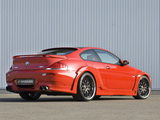 Images of Hamann BMW M6 Widebody Edition Race (E63)