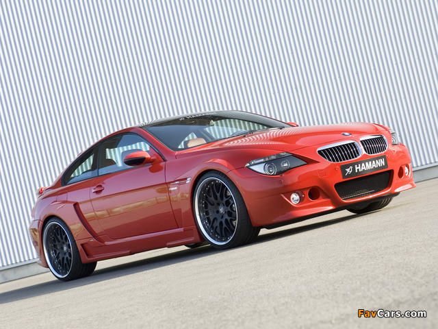 Hamann BMW M6 Widebody Edition Race (E63) wallpapers (640 x 480)