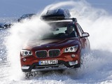 BMW X1 Powder Ride Edition (E84) 2012 wallpapers