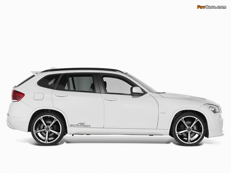 Images of AC Schnitzer ACS1 1.8d (E84) 2010 (800 x 600)