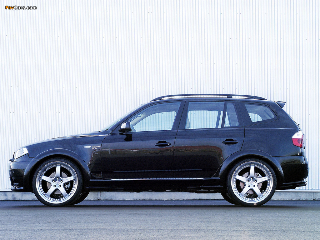 Images of Hamann BMW X3 (E83) (1024 x 768)