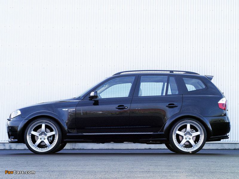 Images of Hamann BMW X3 (E83) (800 x 600)