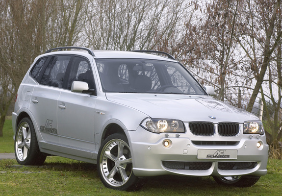 Pictures of AC Schnitzer ACS3 (E83) 2004–10