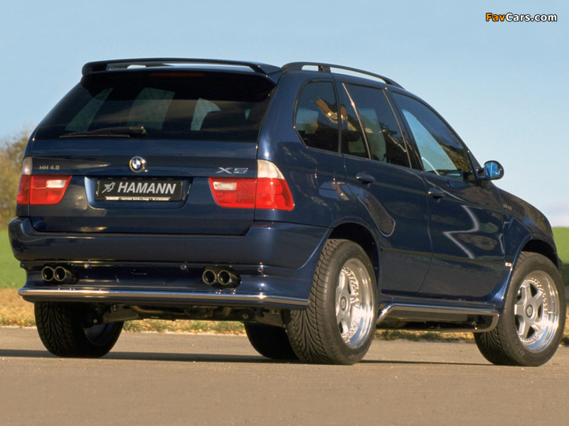 Hamann BMW X5 (E53) 2000–03 photos (800 x 600)