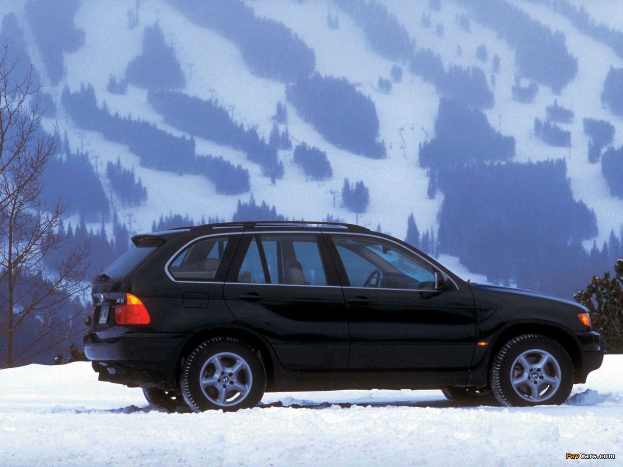 BMW X5 3.0i US-spec (E53) 2000–03 photos (1280 x 960)