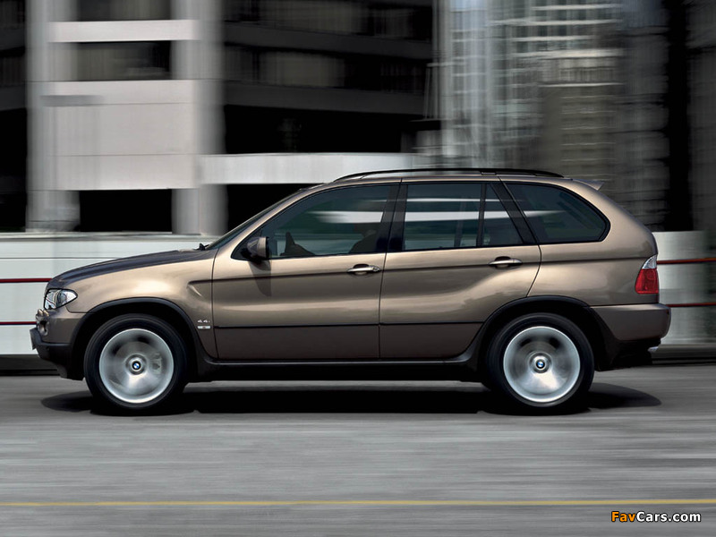BMW X5 4.4i (E53) 2003–07 images (800 x 600)