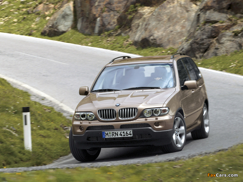 BMW X5 4.4i (E53) 2003–07 images (800 x 600)