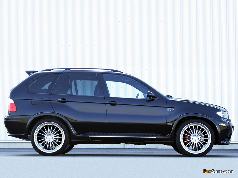 Hamann BMW X5 (E53) 2003–07 images (800 x 600)