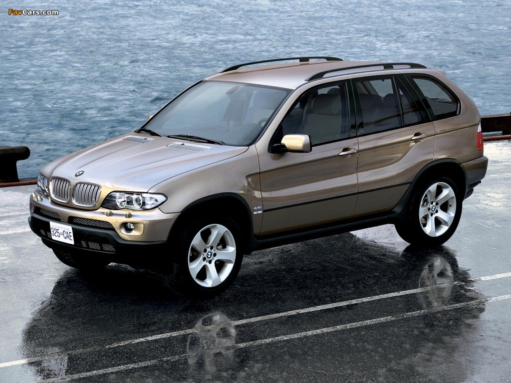 BMW X5 4.4i (E53) 2003–07 images (1024 x 768)