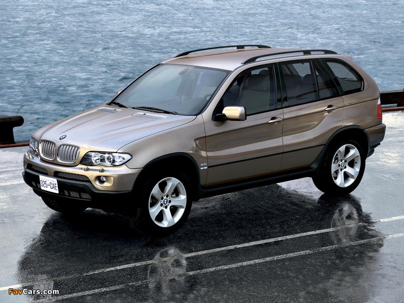 BMW X5 4.4i (E53) 2003–07 images (800 x 600)