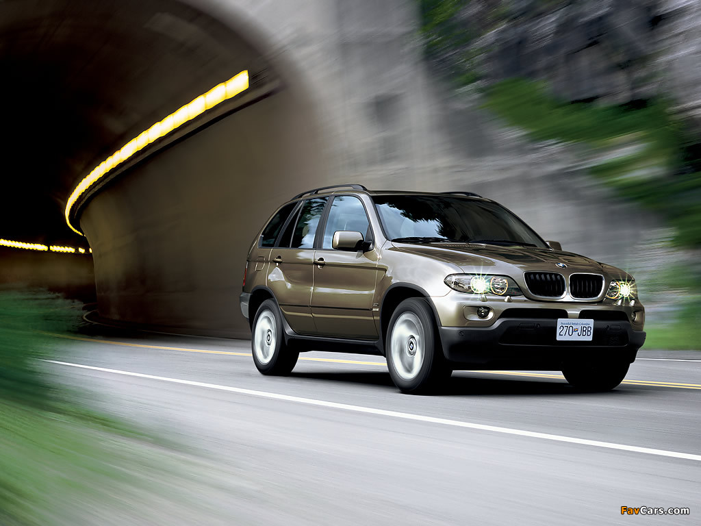 BMW X5 4.4i (E53) 2003–07 images (1024 x 768)