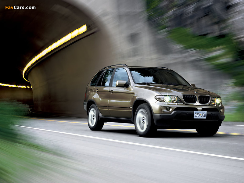 BMW X5 4.4i (E53) 2003–07 images (800 x 600)