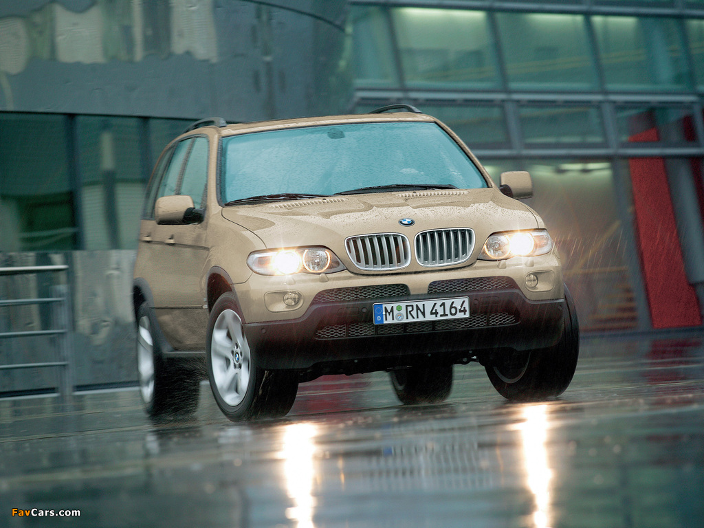 BMW X5 4.4i (E53) 2003–07 photos (1024 x 768)